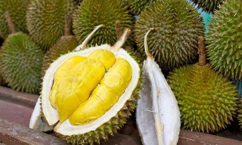 榴莲加工爆料怎么做视频,视频带你探秘美味背后的制作过程 第3张 榴莲加工爆料怎么做视频,视频带你探秘美味背后的制作过程 第3张